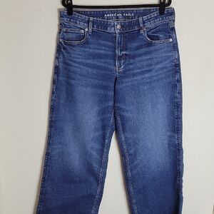 American Eagle low rise baggy wide leg jeans